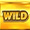 Вайлд